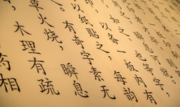 含有狗的成语大全