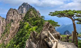 黄山四大奇观分别是什么