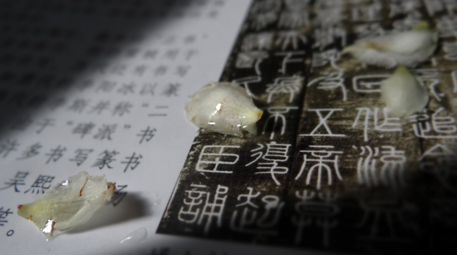 篆书,书法字体,书法小知识