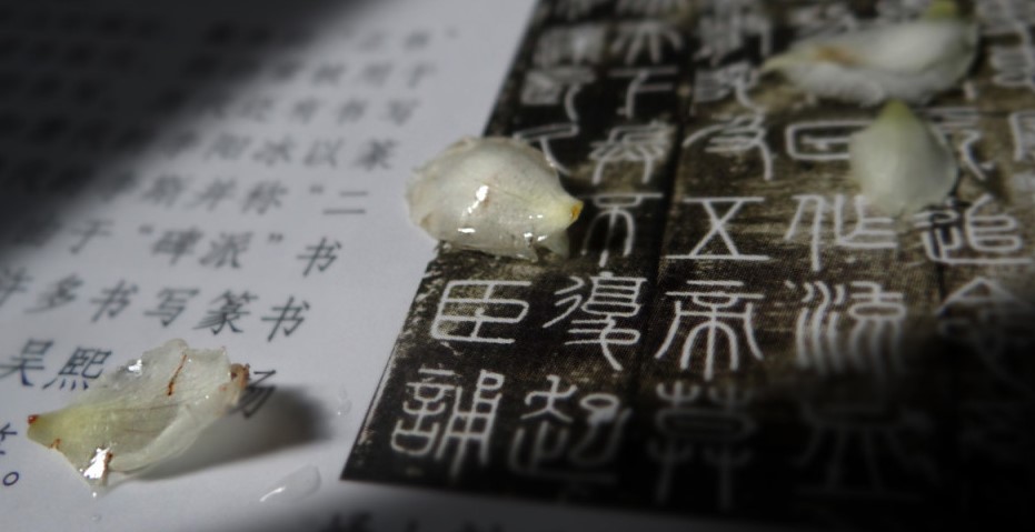 篆书,隶书,书法字体
