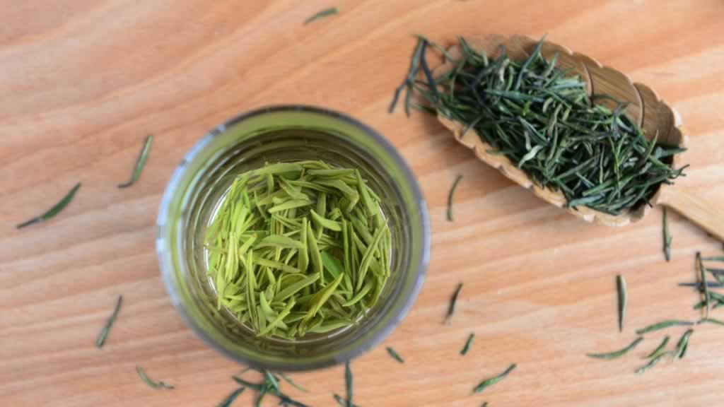 雀舌茶功效,雀舌茶禁忌,雀舌茶