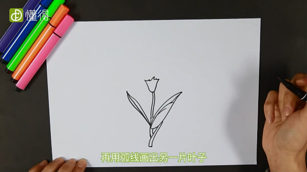 康乃馨简笔画-用弧线画出叶子