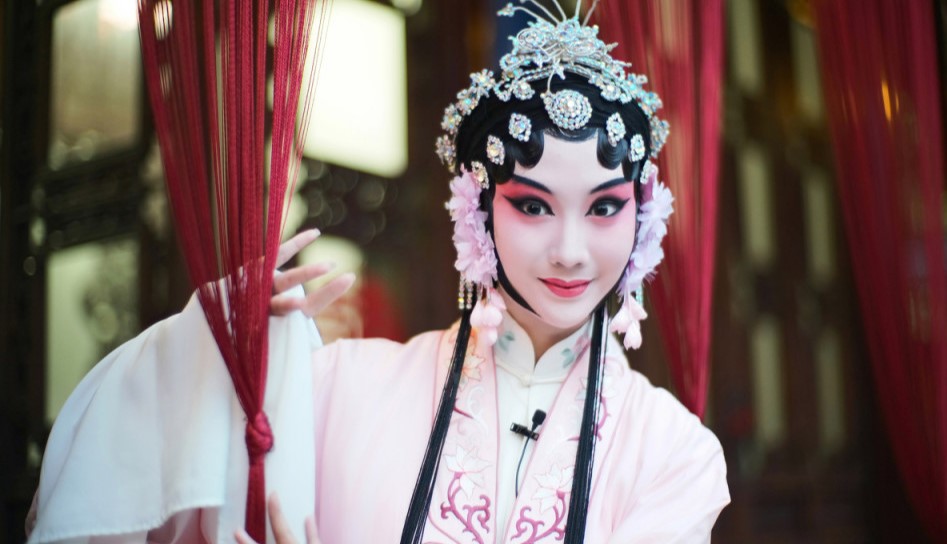 戏曲剧种,戏曲,曲艺