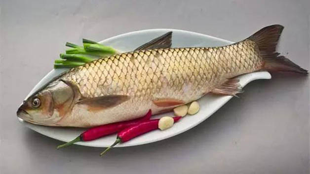 野生草鱼和养殖草鱼的区别