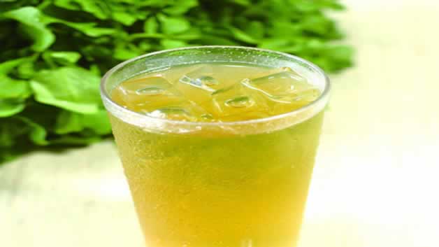 统一绿茶一箱几瓶