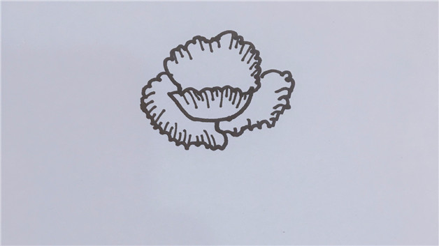 禁毒罂粟花简笔画