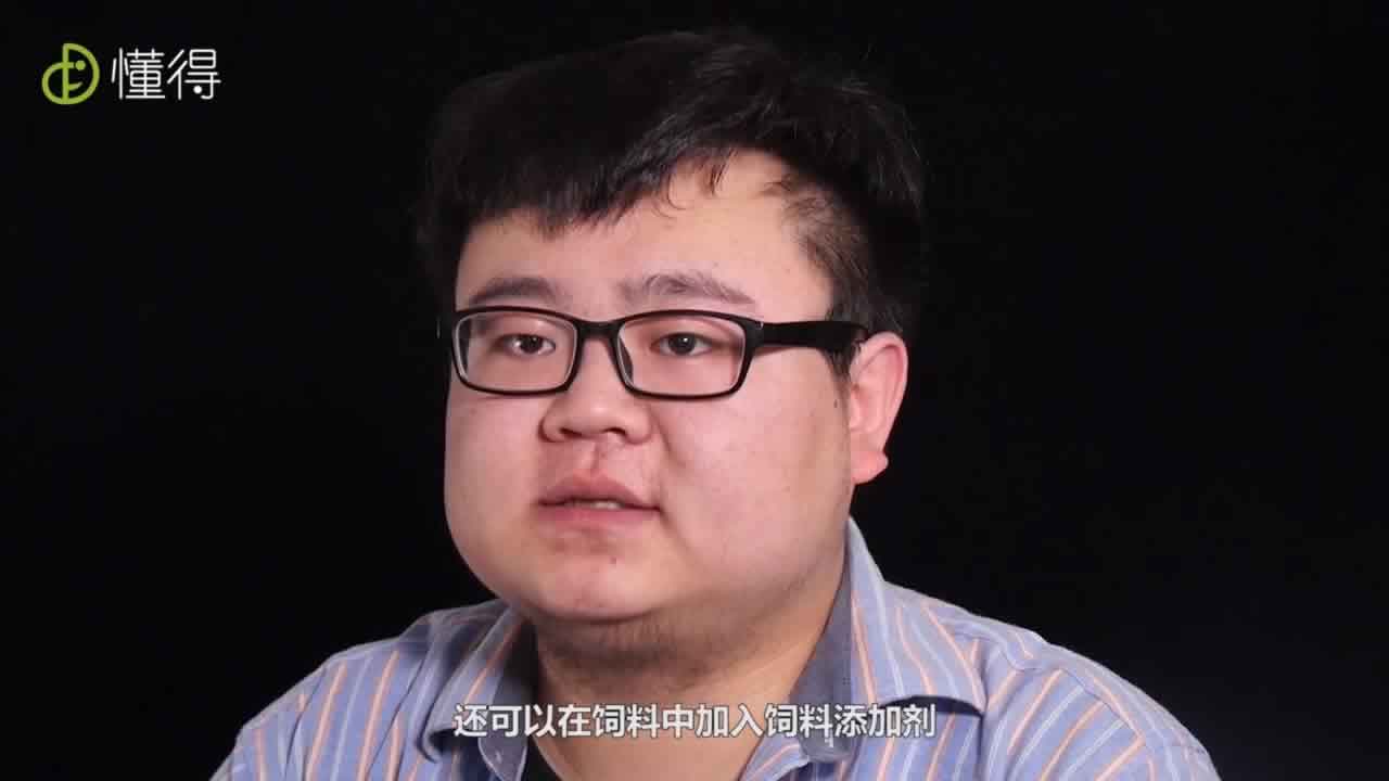 可以在饲料中加入饲料添加剂