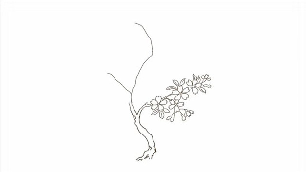樱花树简笔画