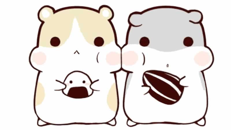 小仓鼠简笔画