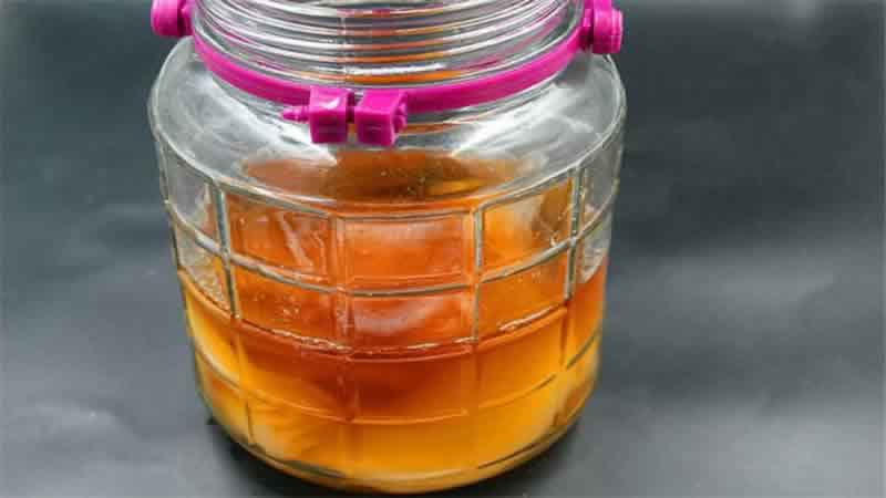 怎么判断红茶菌死了