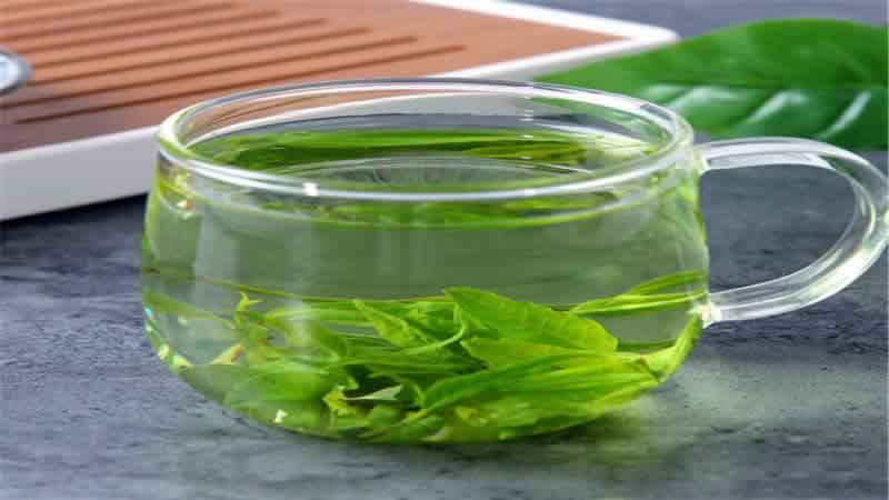 发酵苦丁茶的功效与作用及禁忌