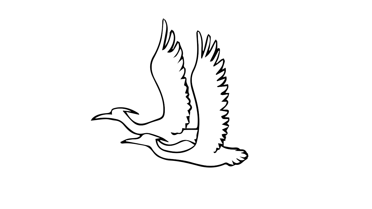 白鹭