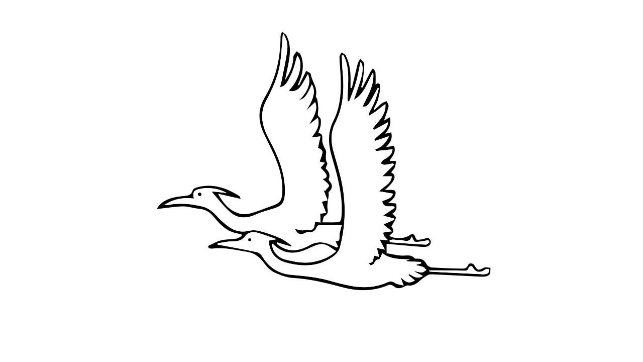 白鹭