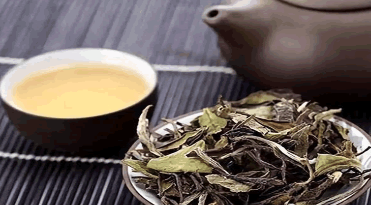 老白茶功效与作用禁忌