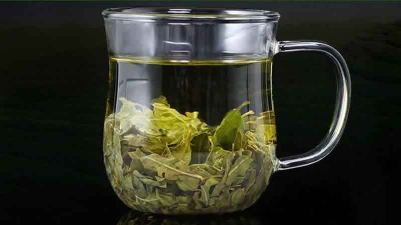 罗布麻茶禁忌