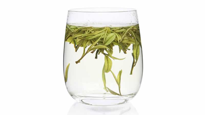安吉白茶功效,安吉白茶,白茶