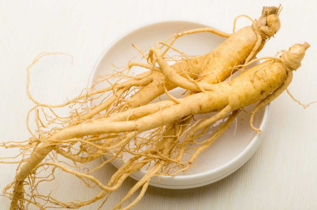 人参花茶,茶叶种类