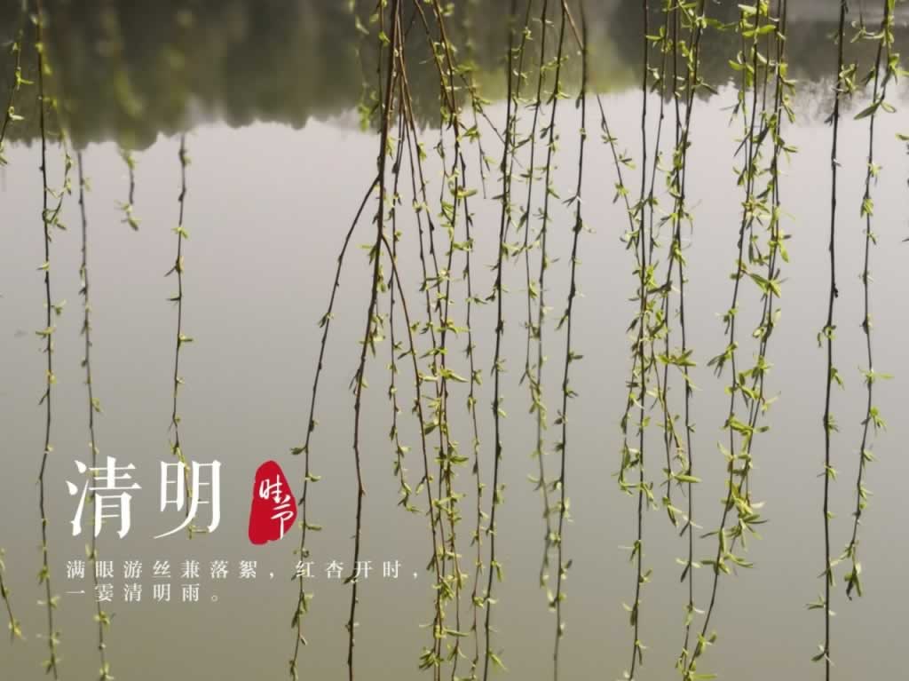 清明节,节日,文案