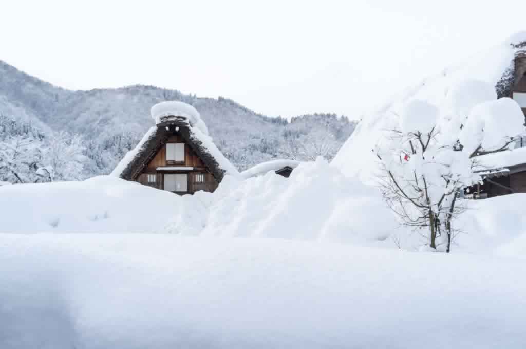 滚雪球,雪球,运动