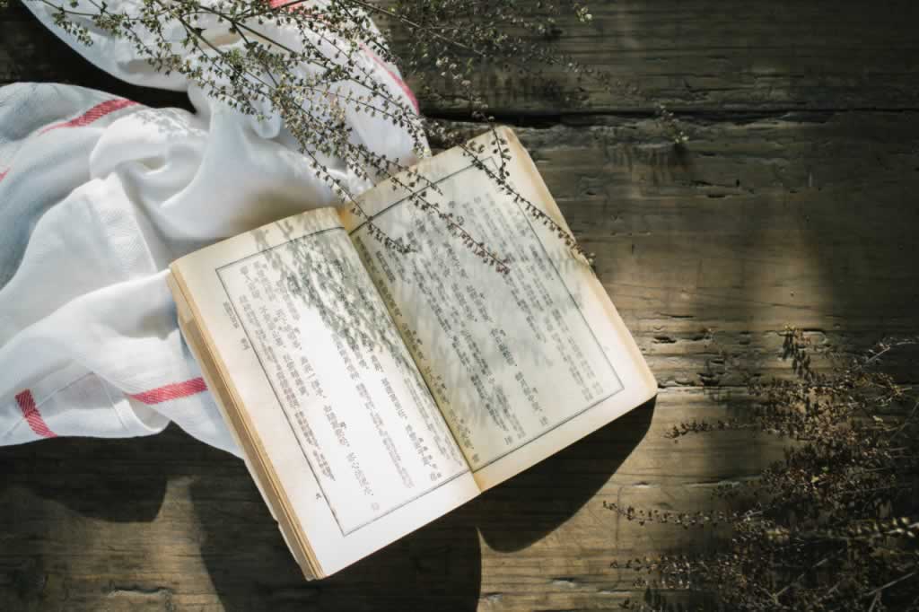 藏戏,文章,知识