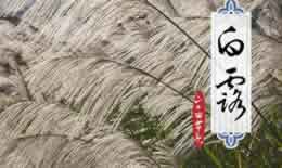 白露的传统习俗有哪些