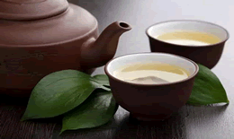 茶该怎么泡好