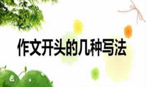 文章开头有什么作用