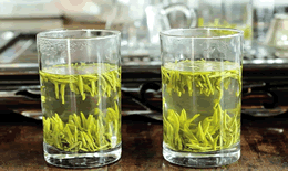 龙井茶怎么泡龙井茶泡法