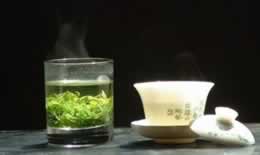 苦丁茶和菊花可以一起泡吗