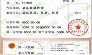 特种作业操作证怎么查询