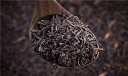 普洱茶生茶和熟茶的区别