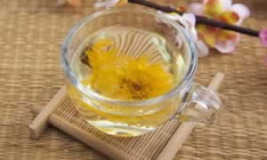 菊花茶的种类