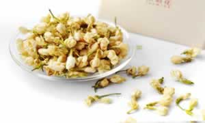 茉莉茶可以天天喝吗