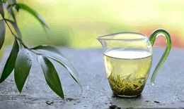 茶的别称和雅号