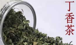 丁香茶什么人不能喝