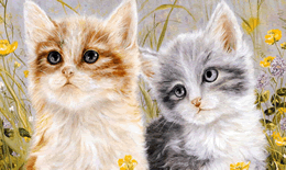 怎么才能让猫不踩屎