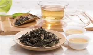 白茶怎么冲泡