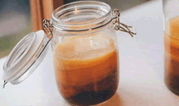 康普茶是什么茶