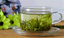 龙井是什么茶