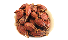 栀子花茶的功效与禁忌