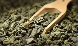 喝茶拉肚子是在排毒吗
