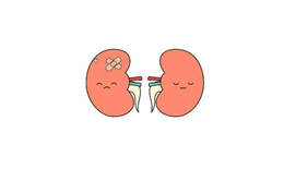 每天喝茶伤肾吗
