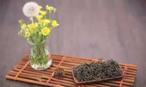 蒲公英茶怎么泡
