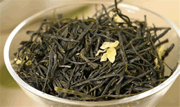 茉莉毛尖的功效与禁忌