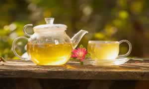 雨花茶属于什么茶