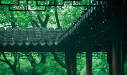 雨水节气文案