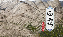 白露节气的含义是什么