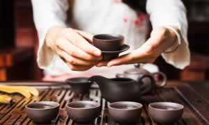 茶的品种有哪些