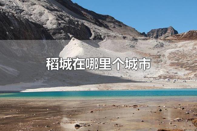 稻城在哪里个城市(稻城在四川省甘孜藏区自治洲) 稻城在哪里个城市(稻城在四川省甘孜藏区自治洲)