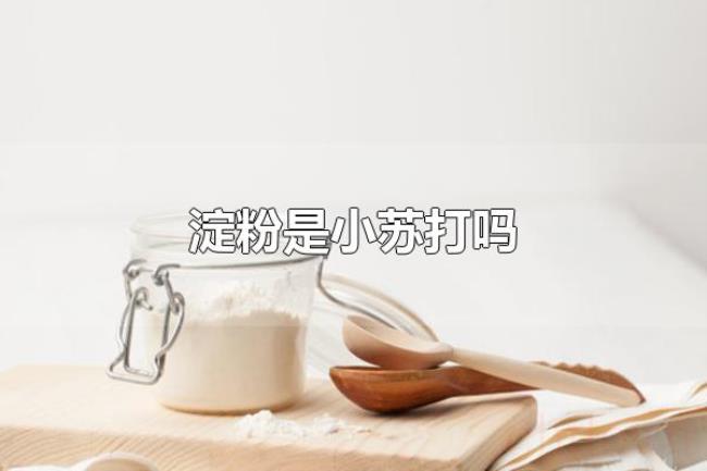淀粉是小苏打吗(淀粉不是小苏打) 淀粉是小苏打吗(淀粉不是小苏打)